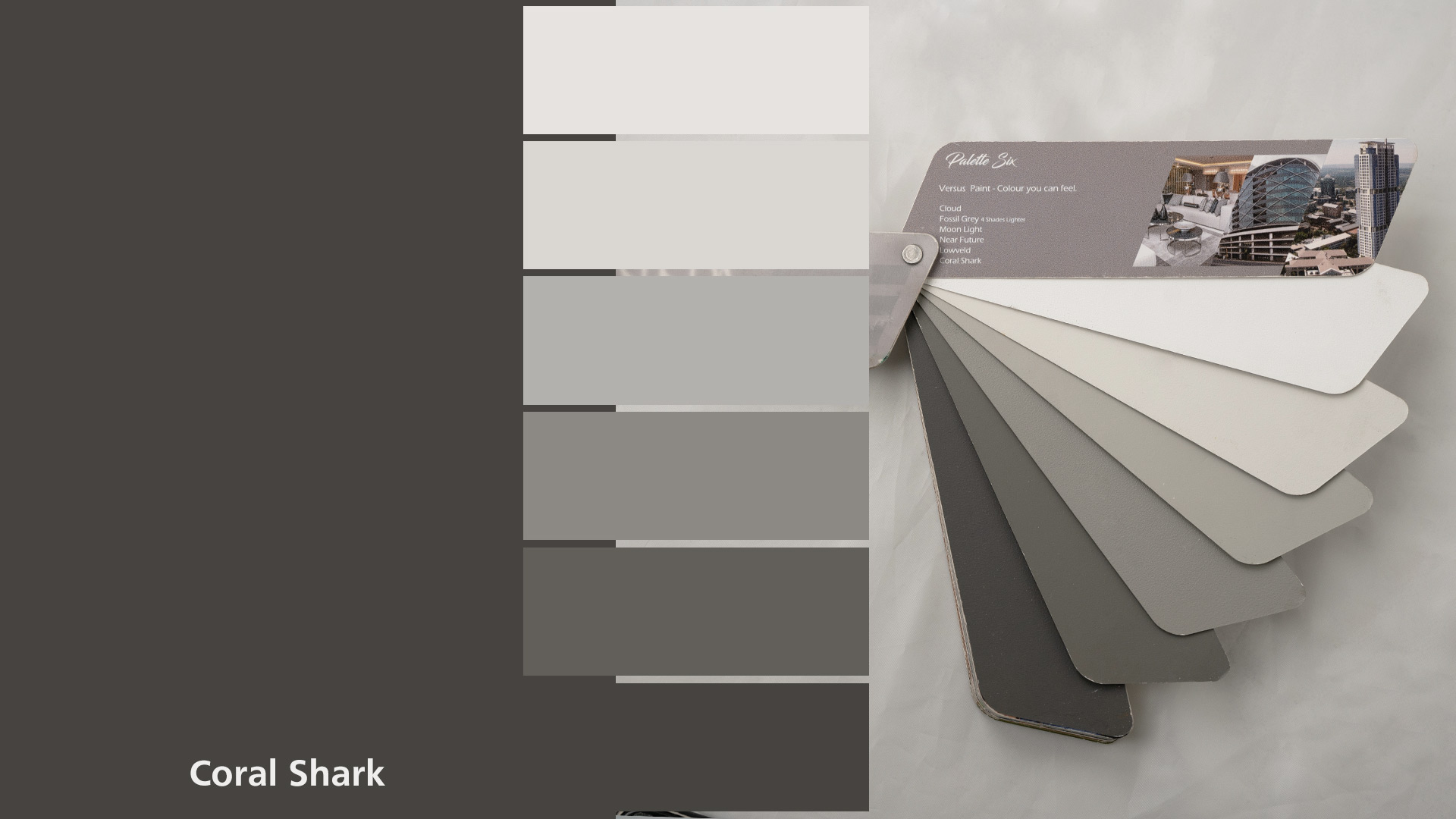 Coral Shark