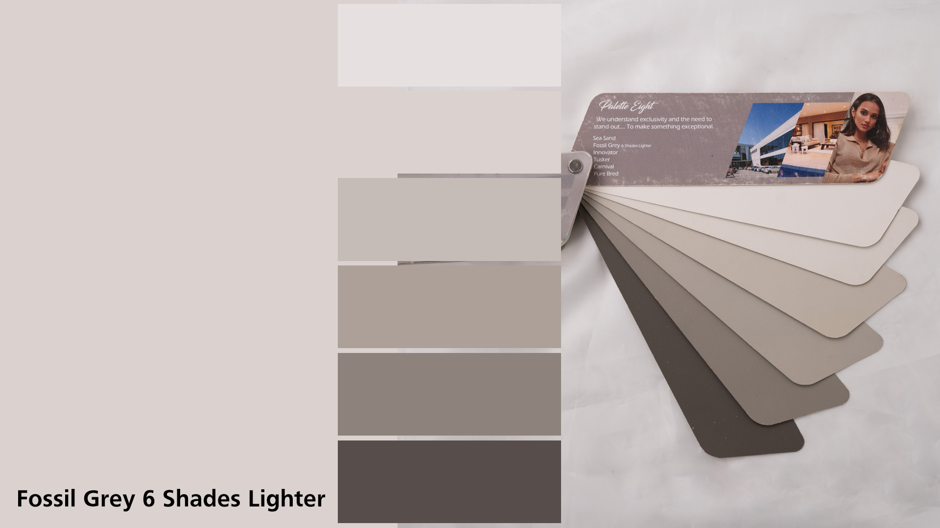 Fossil Grey 6 Shades Lighter