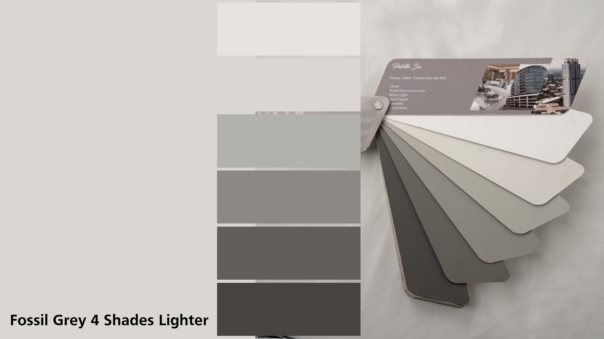 Fossil Grey 4 Shades Lighter